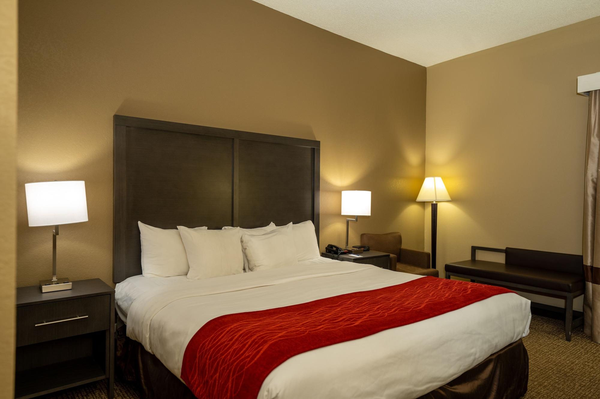 Comfort Inn Opelika - Auburn Zewnętrze zdjęcie