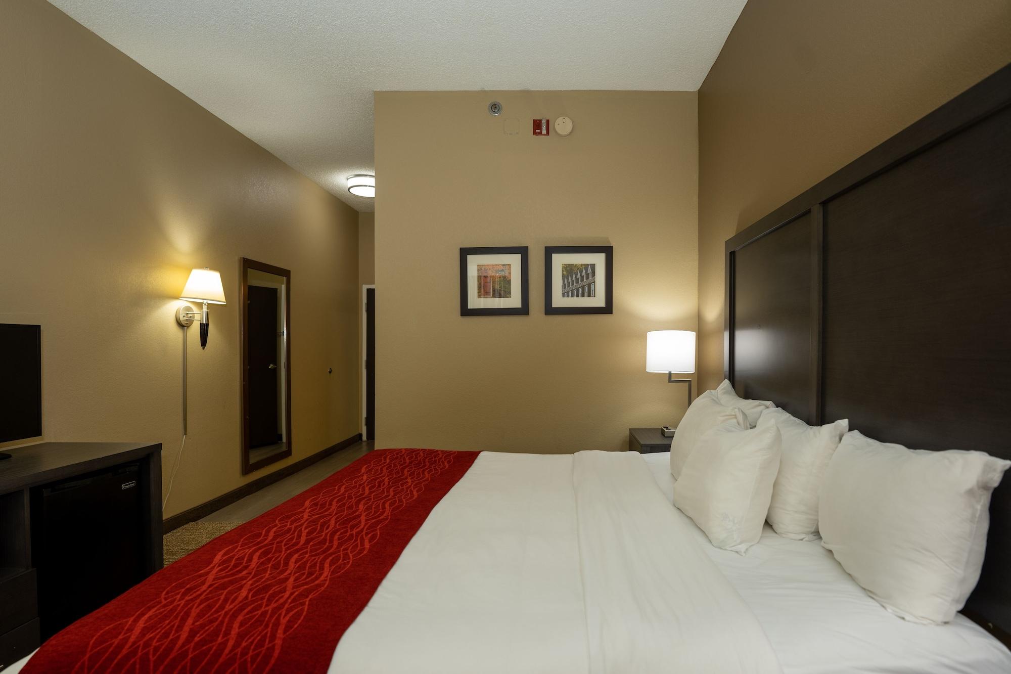 Comfort Inn Opelika - Auburn Zewnętrze zdjęcie